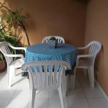 Nest Apollo Lejlighed Mondello